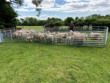 Load image into Gallery viewer, Premium Sheep Hurdle