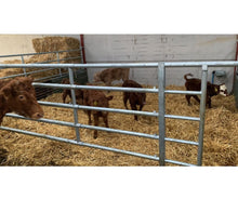 Load image into Gallery viewer, Calf Creep Gate