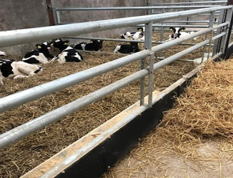Adjustable Calf Feeding Barrier